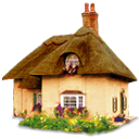 Back to home Back to home